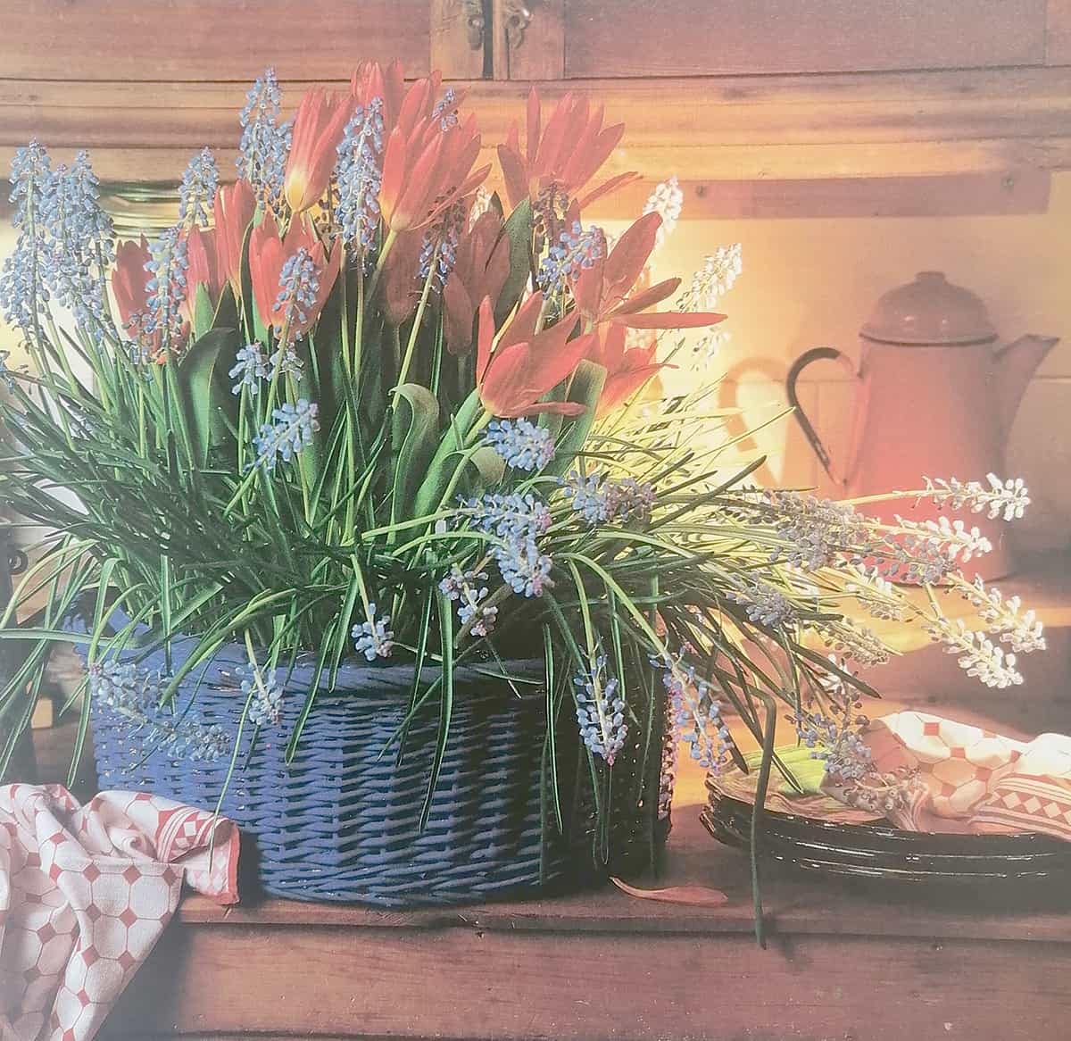 beautiful basket containers