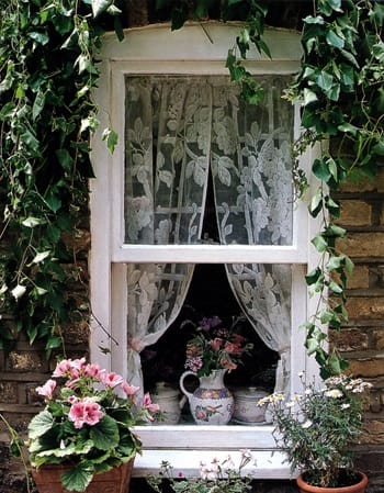 Lace window
